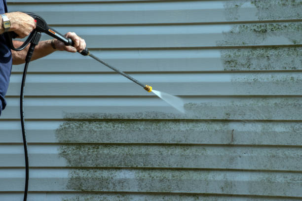 Best Roof Washing  in Bronson, MI